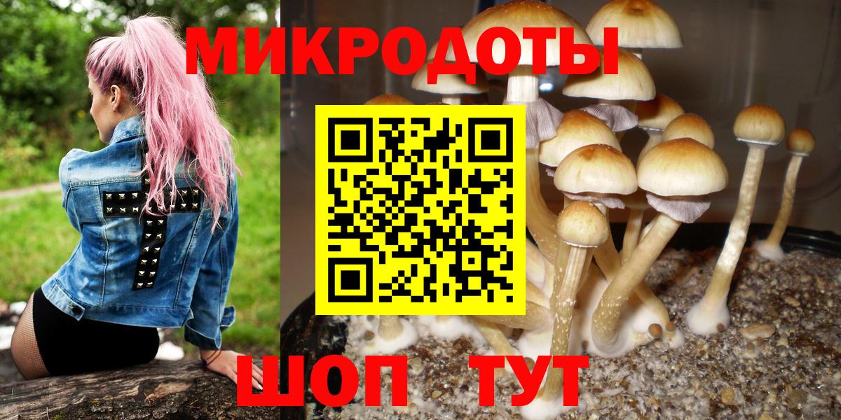 Алейск  Псилоцибиновые грибы мицелий  Вход с VPN 