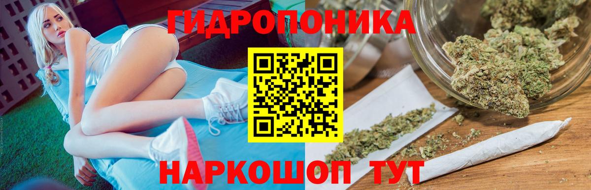 Конопля OG Kush Алейск